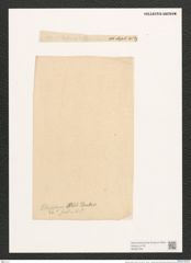 Navicula scotica A.Schm. (de-Toni-Nr.: Genus 1, Species 394) Zeichnungen Sammlung Grunow (NHMW-BOT-W0367330)